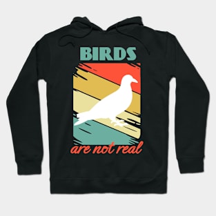 Birds Are not Real Watching Conspiracy Theory Spies Retro Hoodie